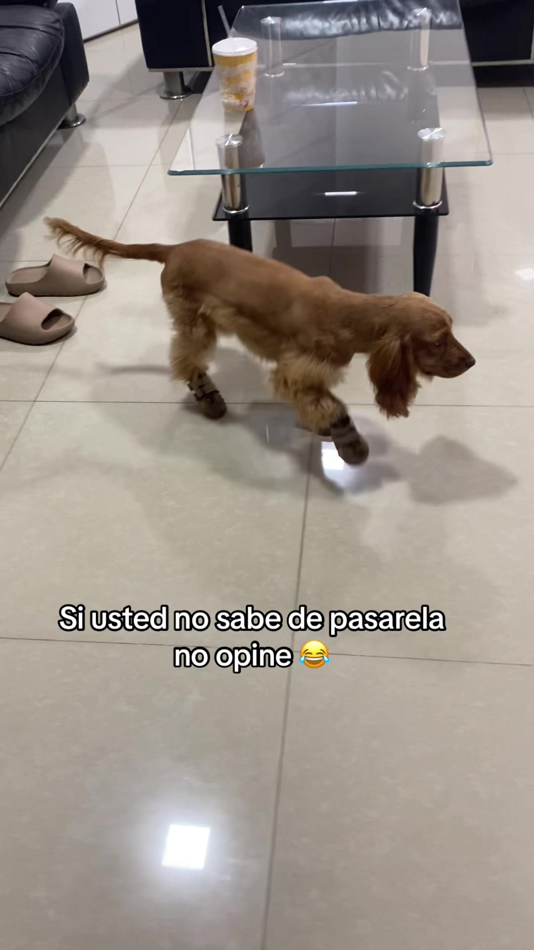 @Andrea