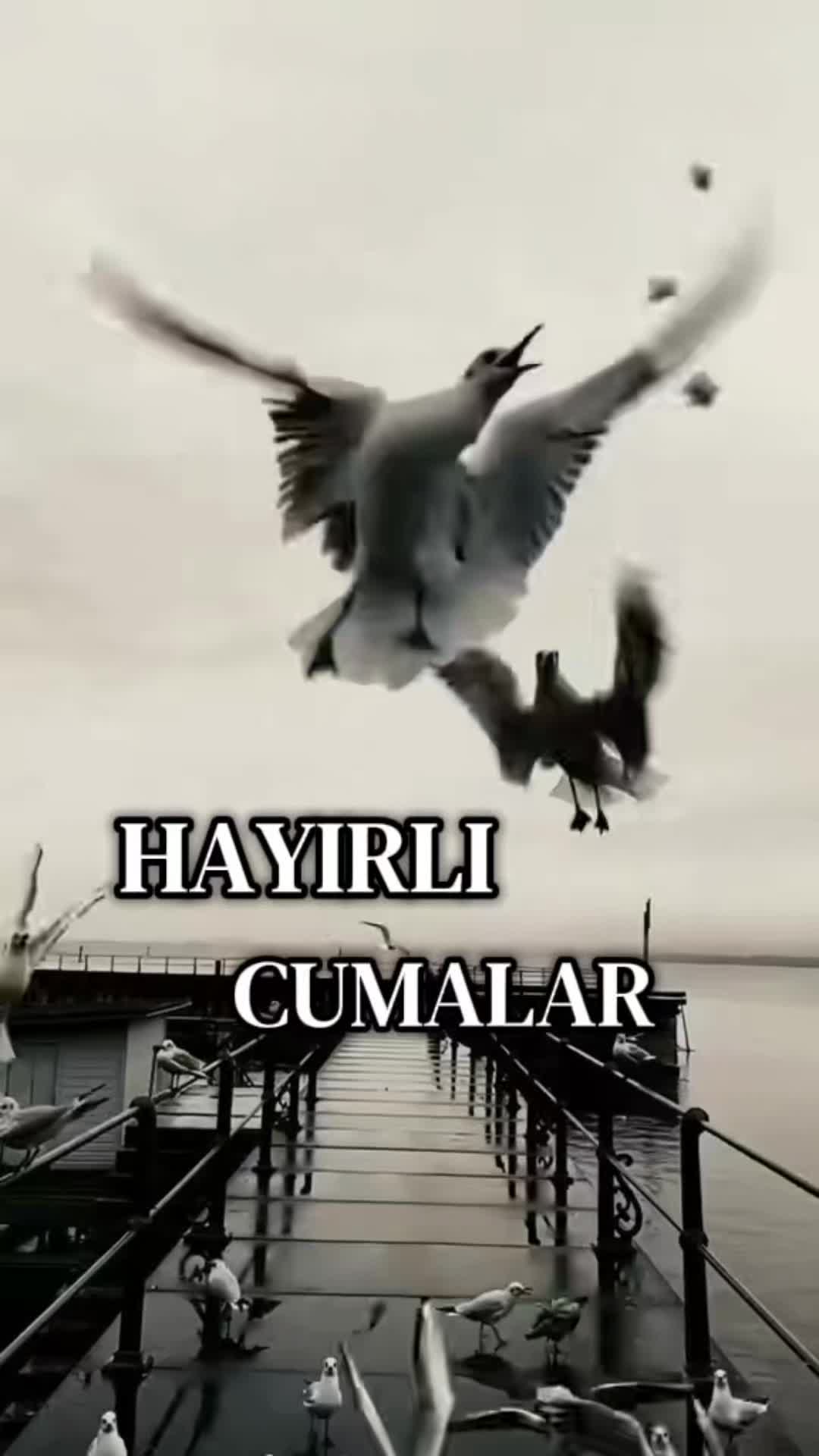 @Nuran 400