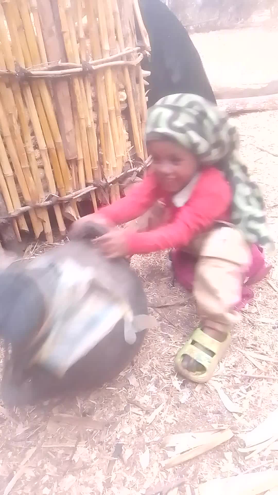 @habtamu ba