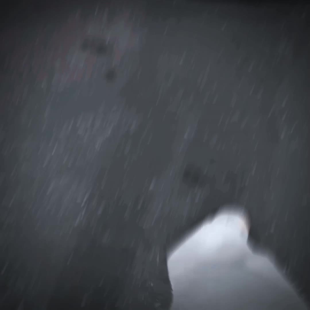 @𝖛𝖝𝖗𝖒𝖊𝖓𝖊_𝖟𝖓𝖈