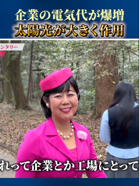 @ピンク社長の太陽光投資が最強