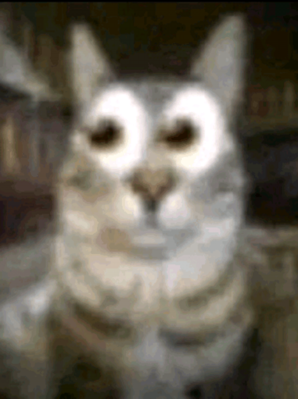 @♡YiyiTheCat☆