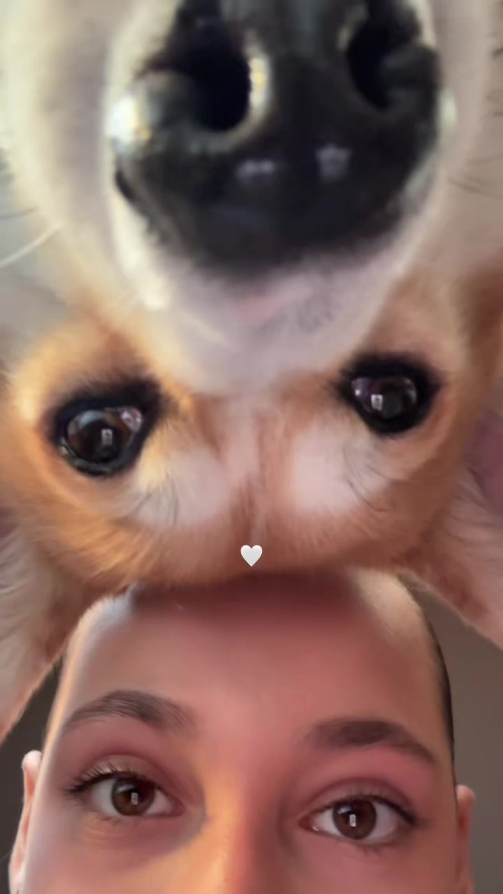 @rorkaa