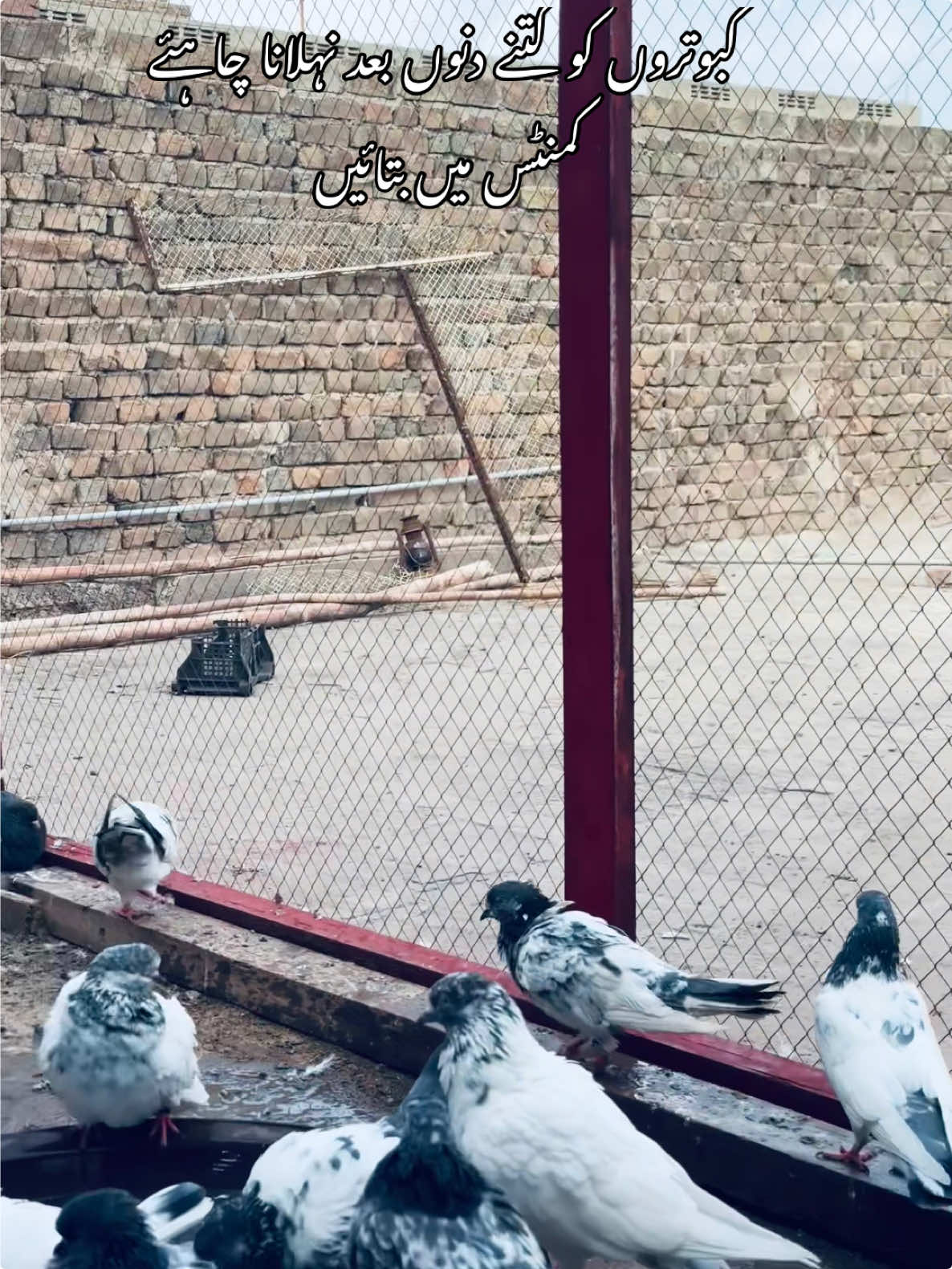 @شوق 🫀
