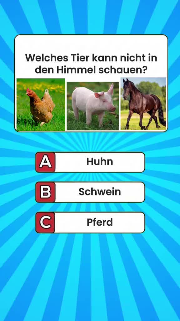 @DailyQuizMaster