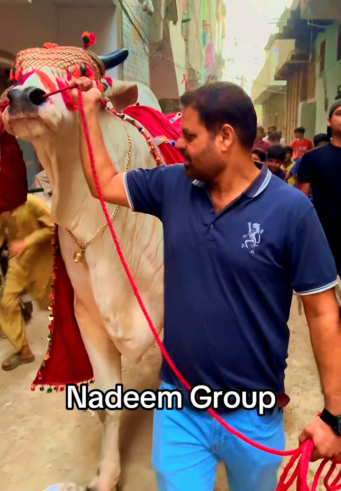 @Karachi Bull lovers