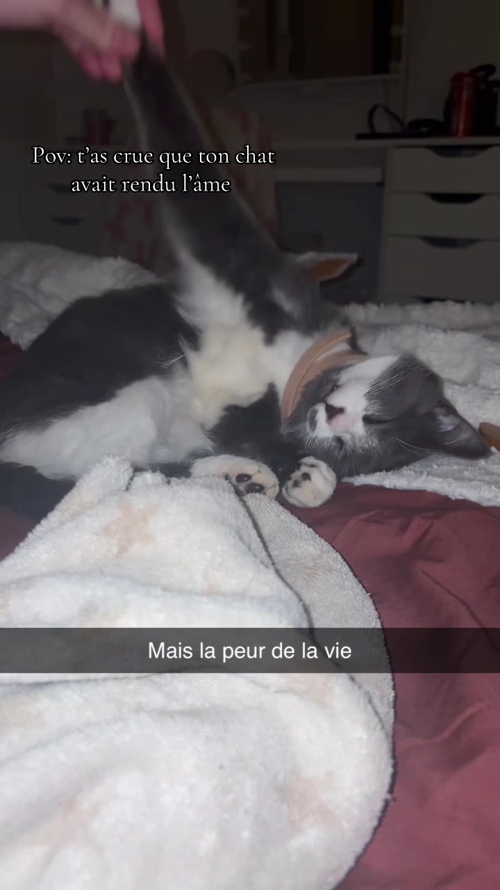 @lna_nlb