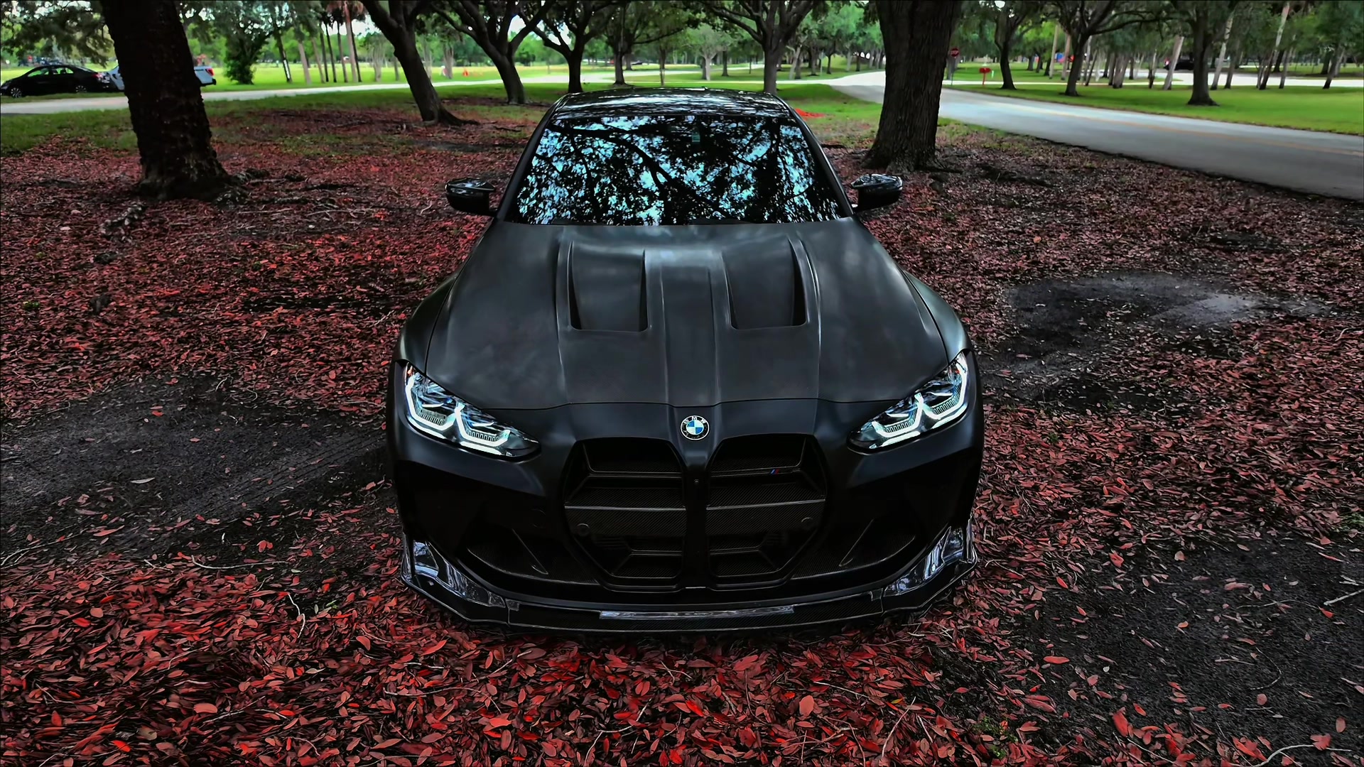 @LukeS58