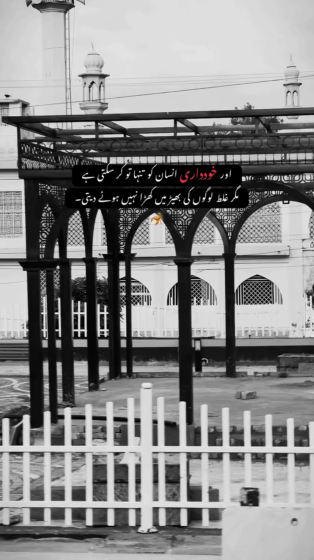 @• 𝐒𝐇𝐀𝐌 ✦