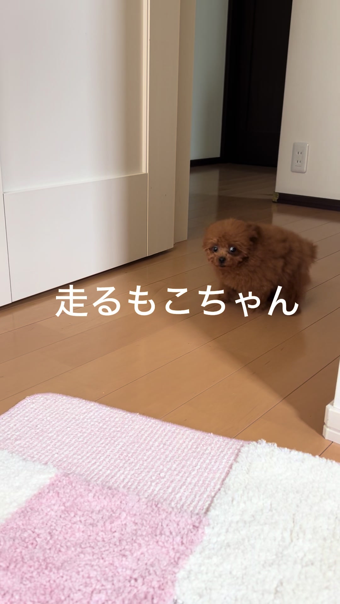 @もこ