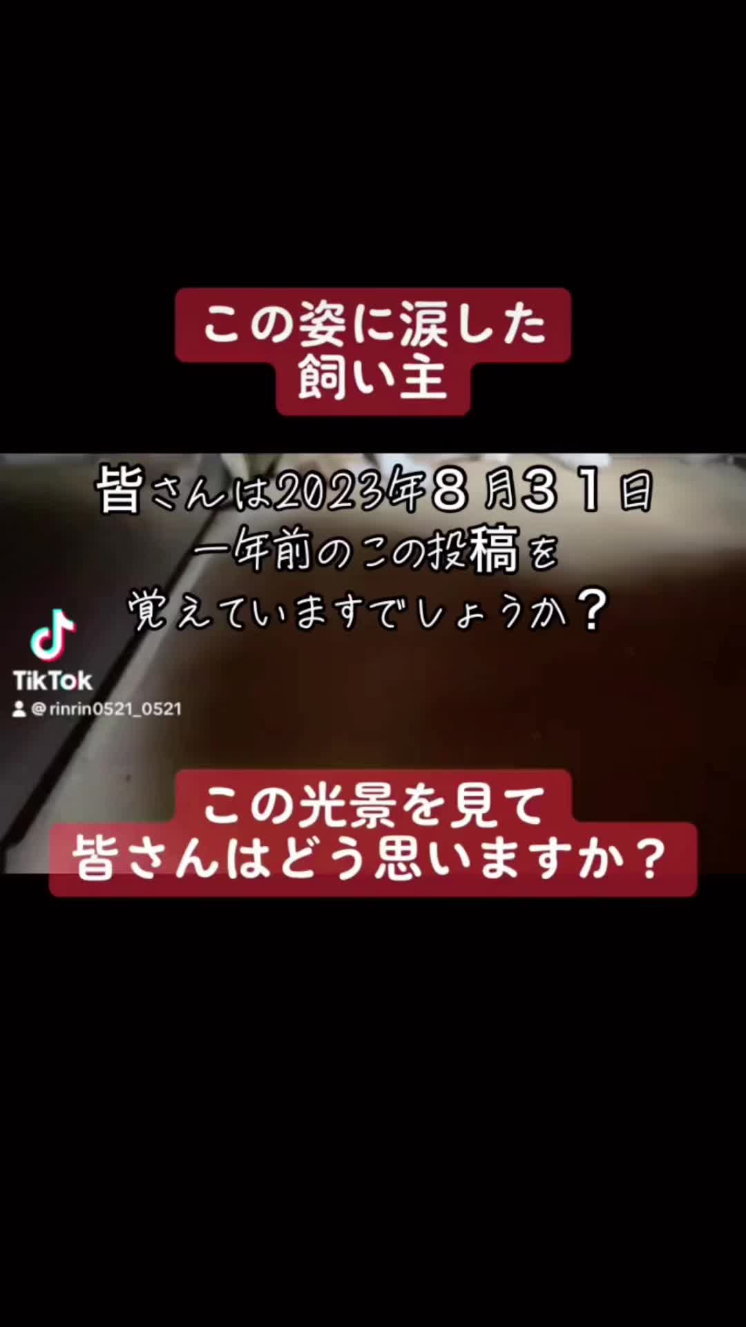 @ブルースカイの倫