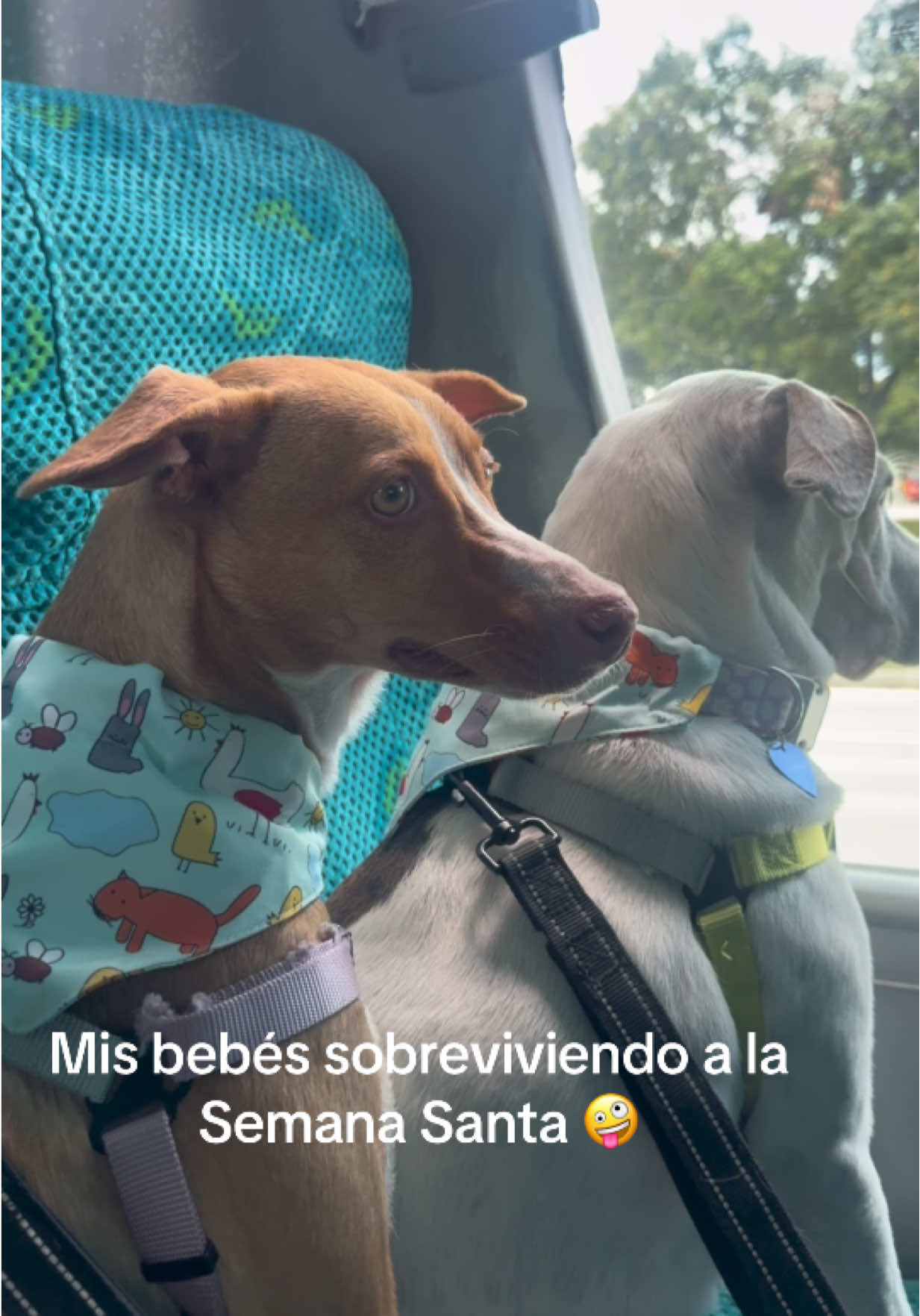 @Fer 🧡