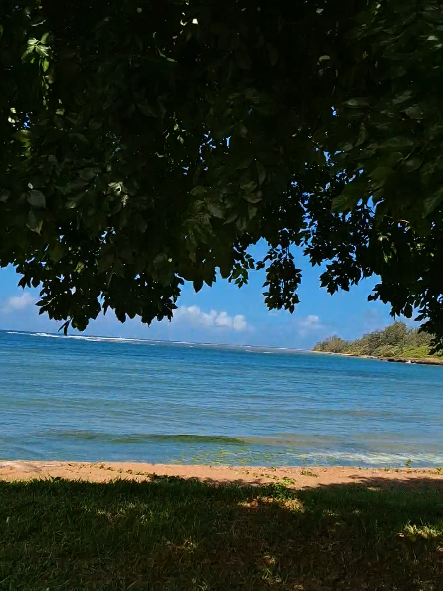 @Musings of an Island Girl