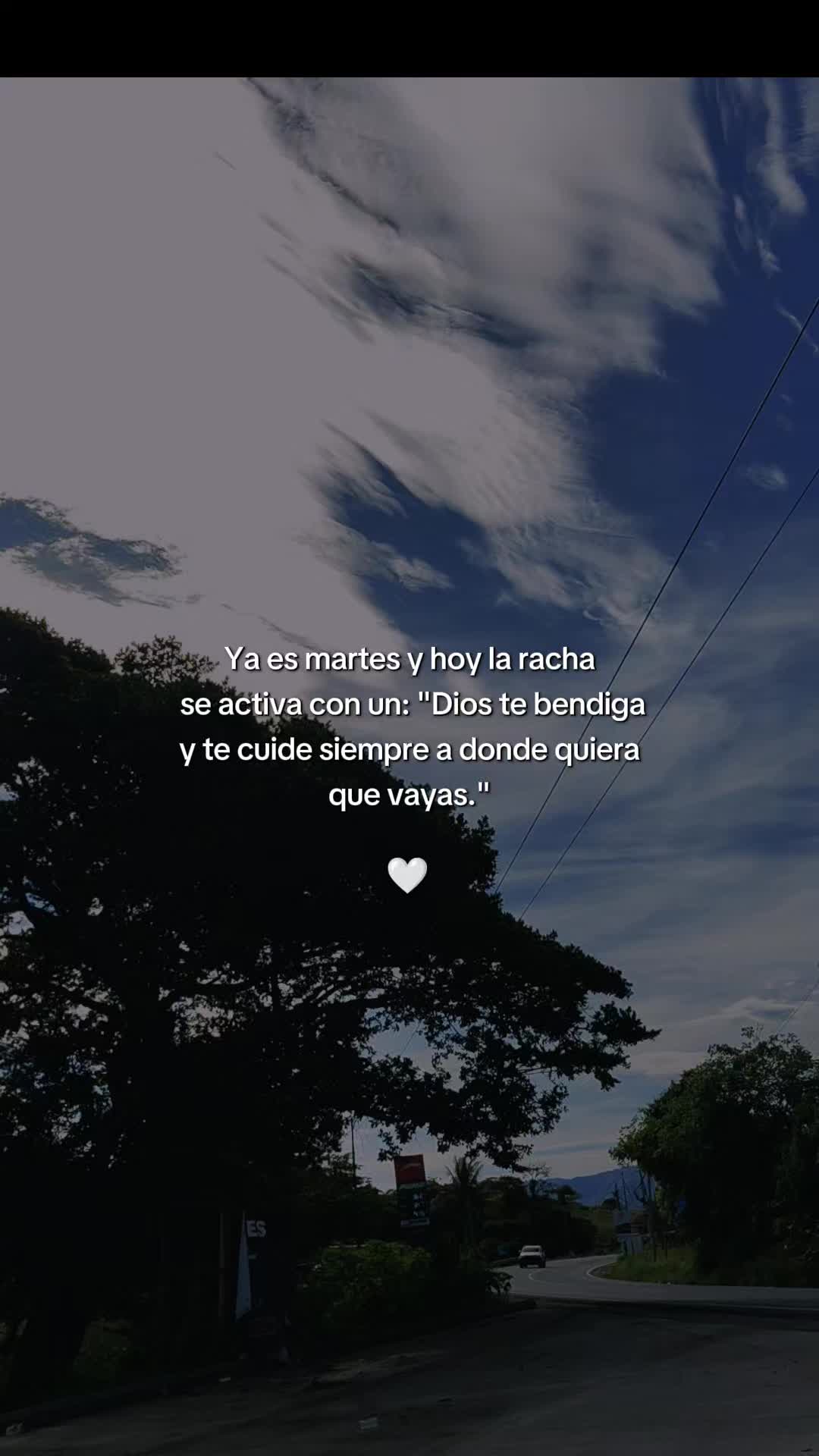 @Linda Cardona 🪼🪐