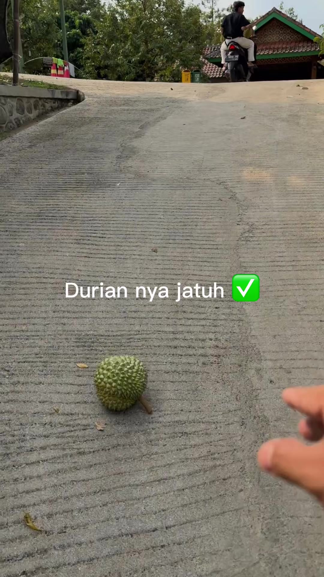 @AA KADU