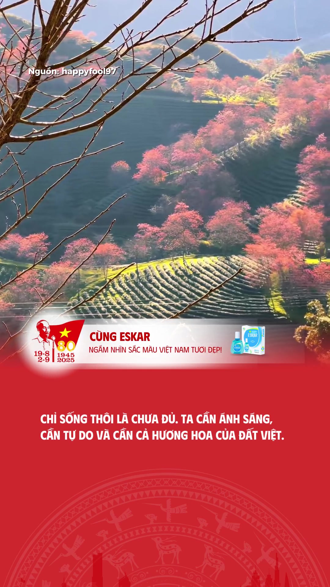 @Sắc Màu Việt Nam