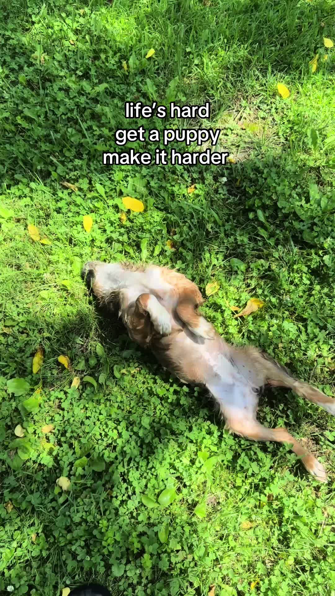 @Charlie & Mable
