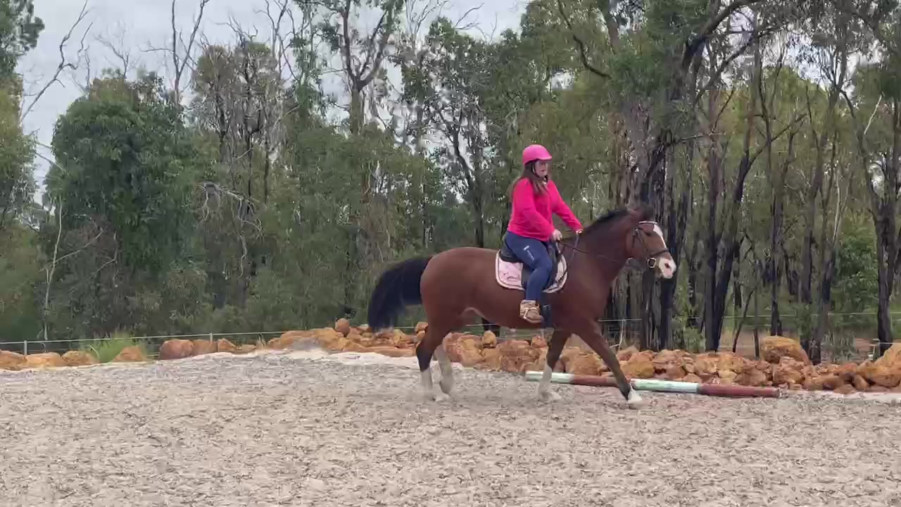 @sian_charlies_horsey_