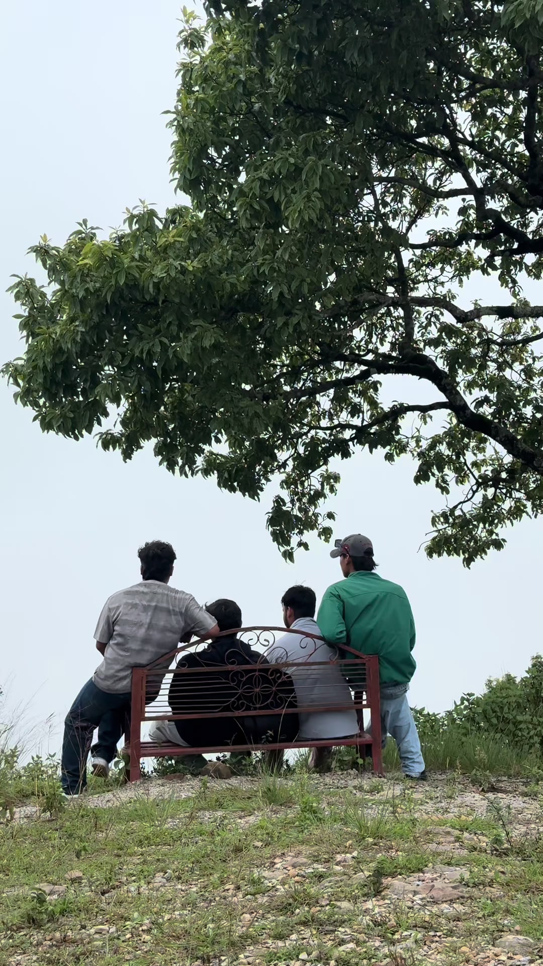 @Sudarshan Yadav Chhetree