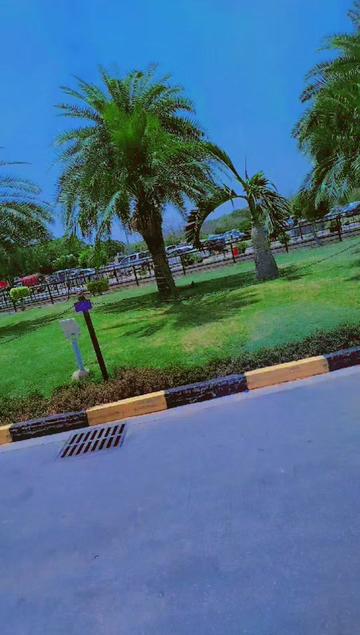 @乂🥷︻╦̵̵͇̿̿̿̿╤──💥شیخ صاحب.595