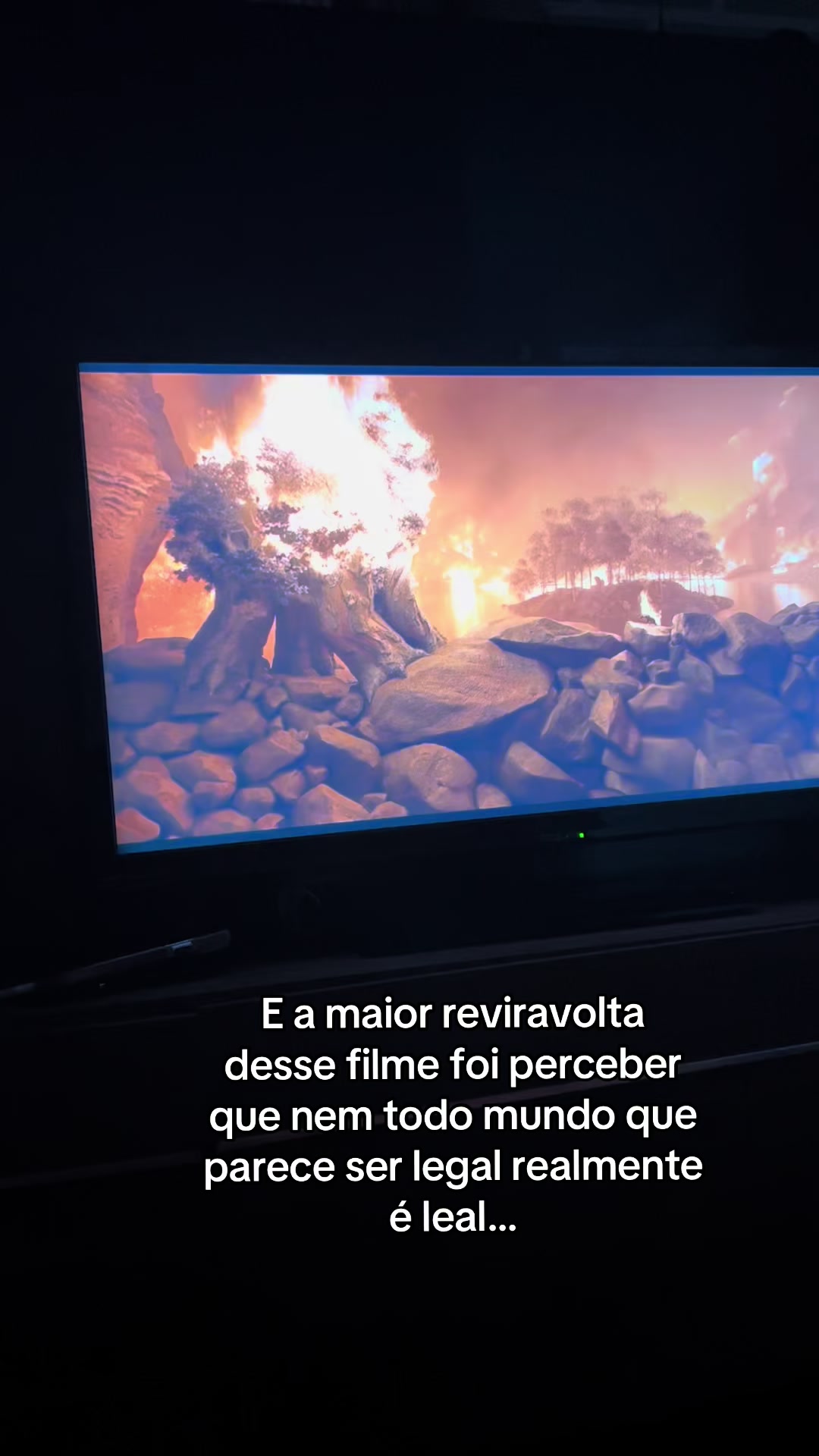 @Ana Laura Ognibene Alves