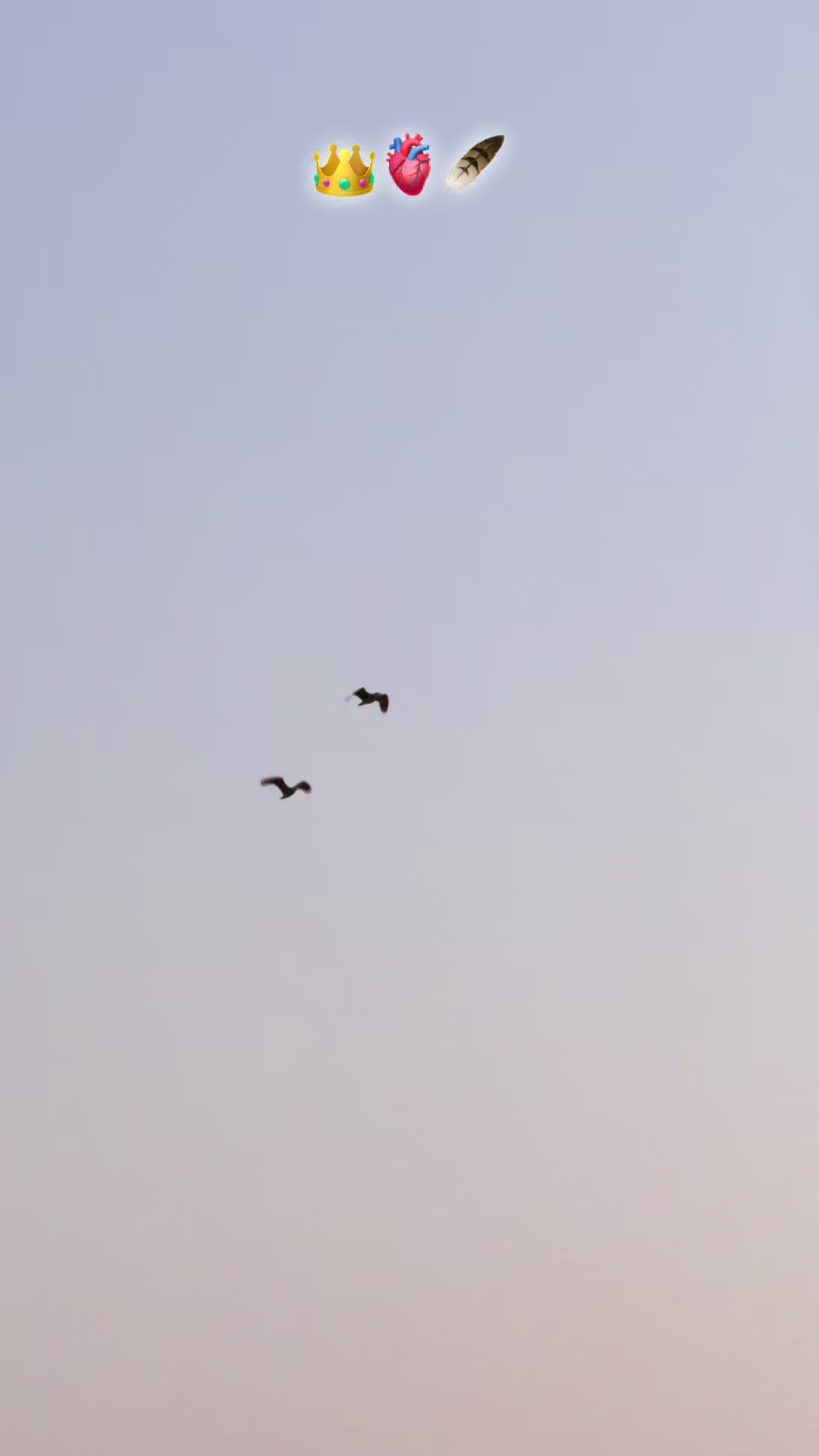 @پنجابی کلچر 🌾🍂