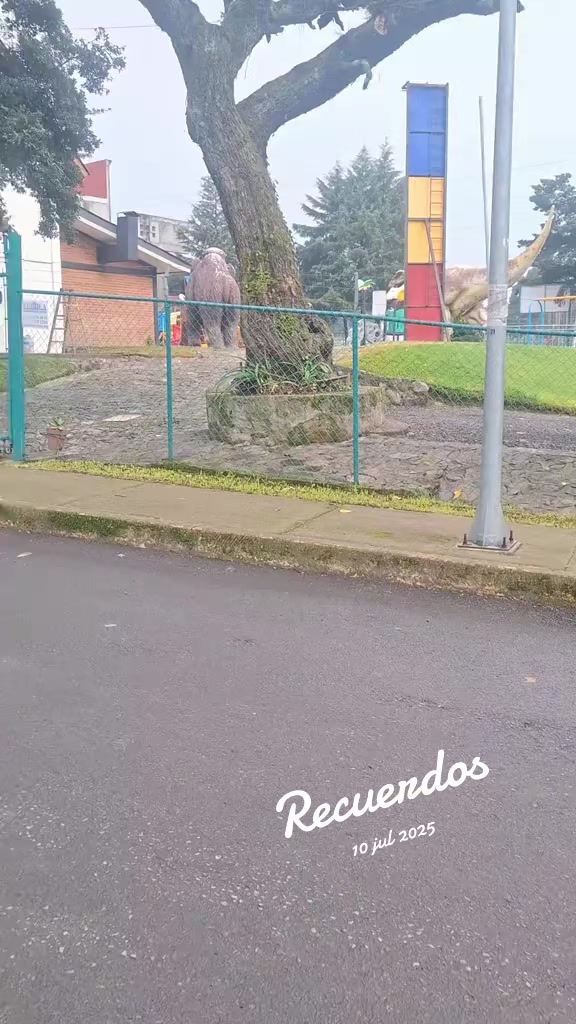 @Gatto Garfias