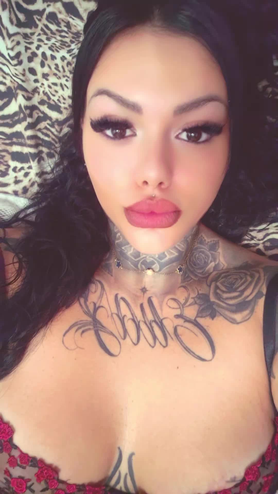 @alternative_alisea