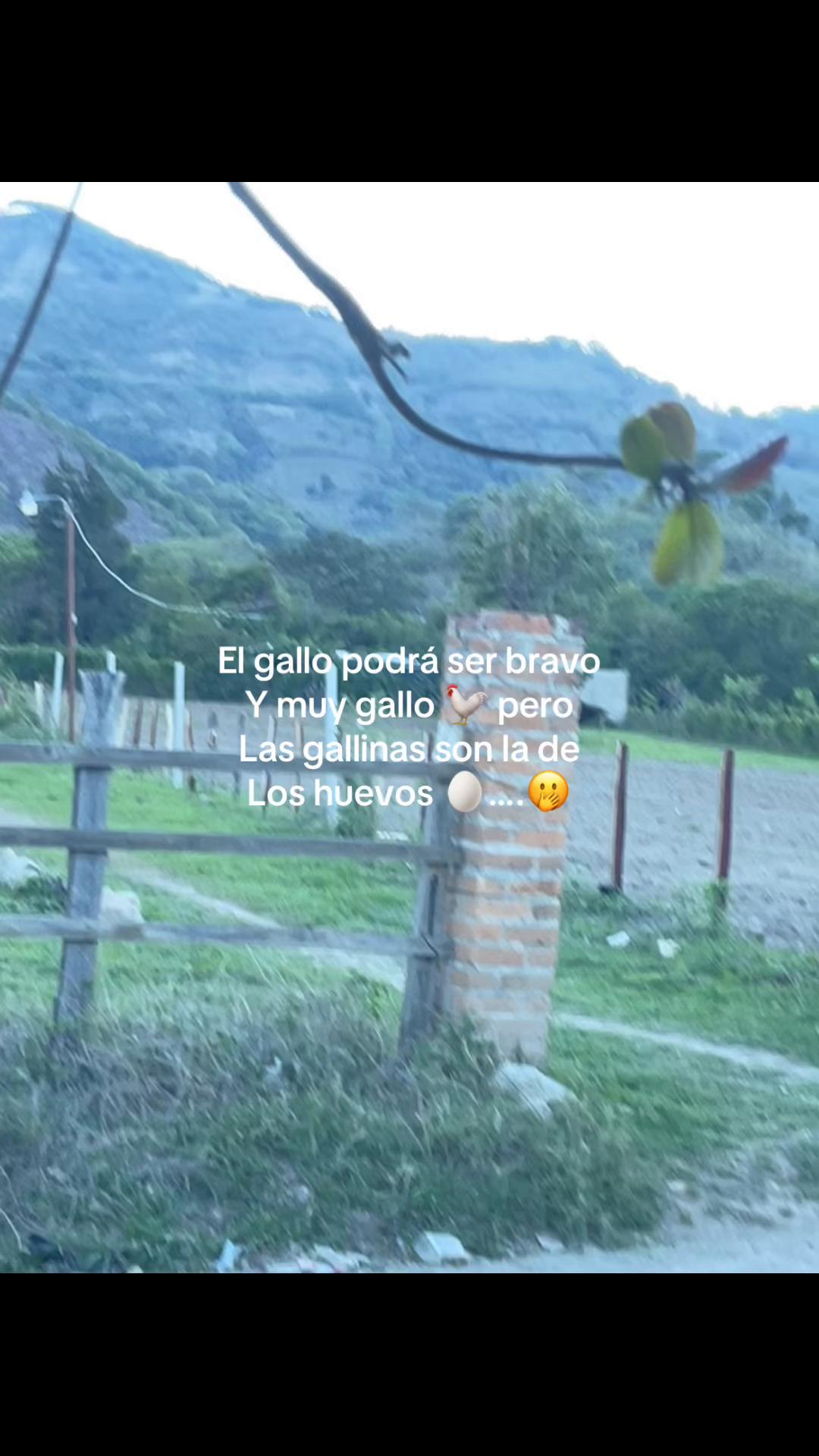 @💜🦄ᴇʟ ᴘᴇʟɪɢʀᴏꜱᴏ D Natalia🌻🐾