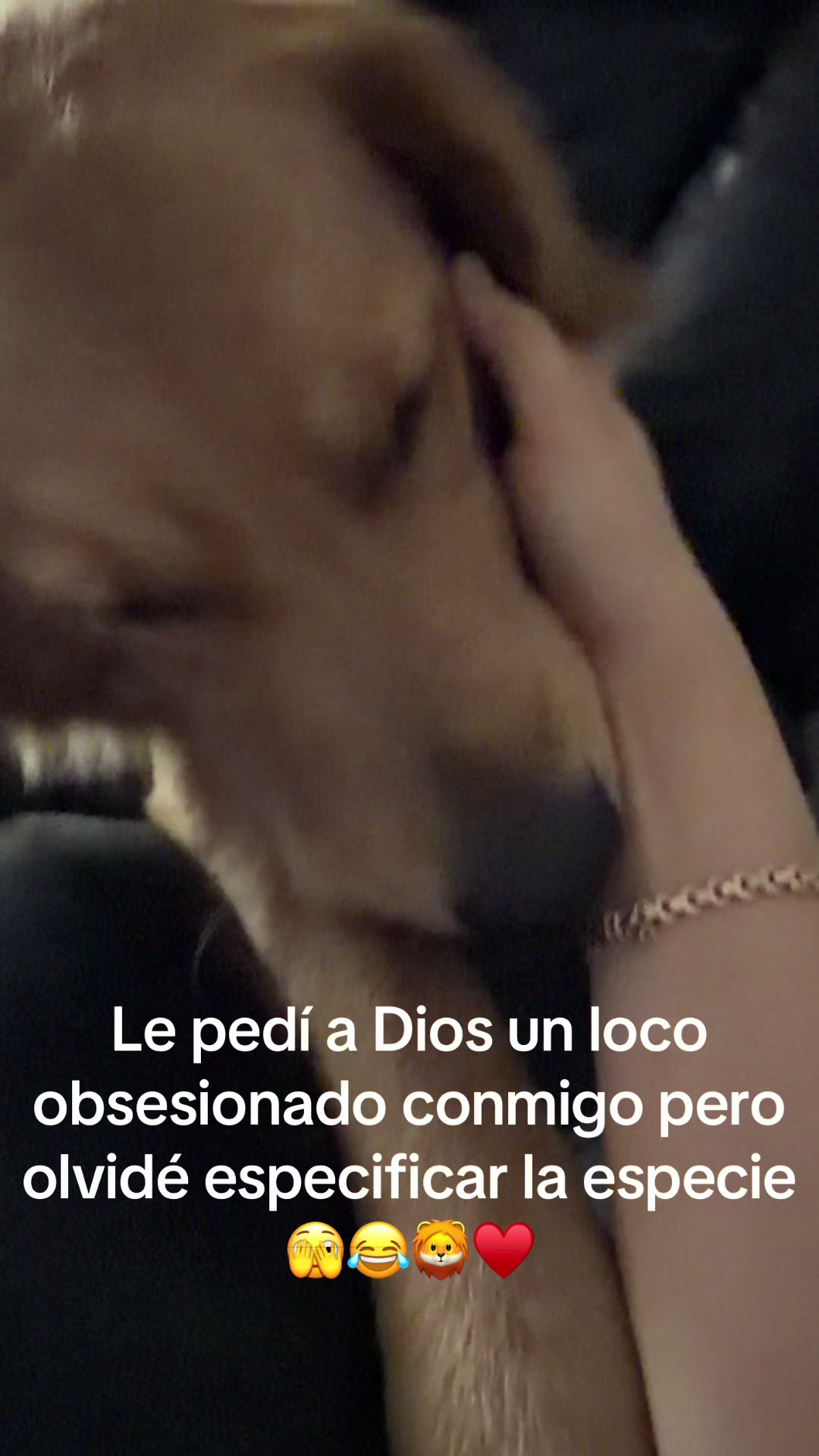 @Dog’s life 🐕