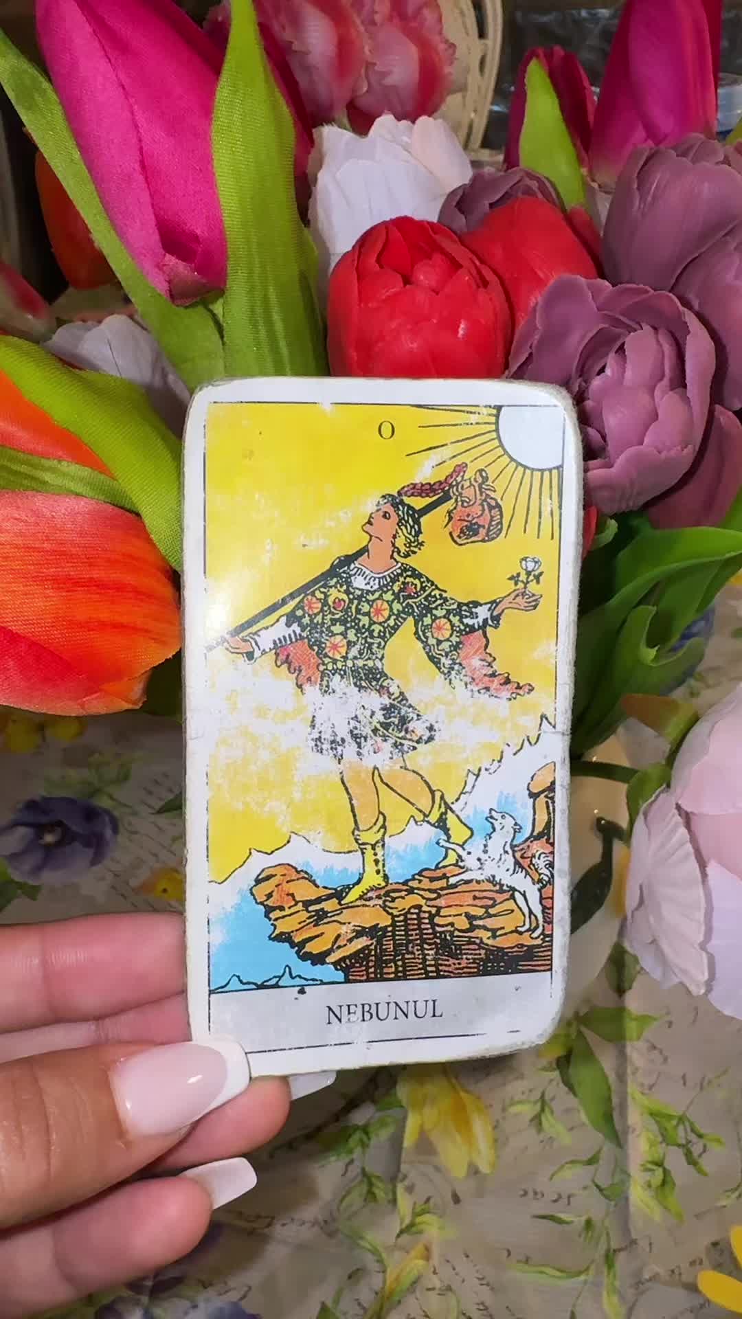 @Tarot Maria
