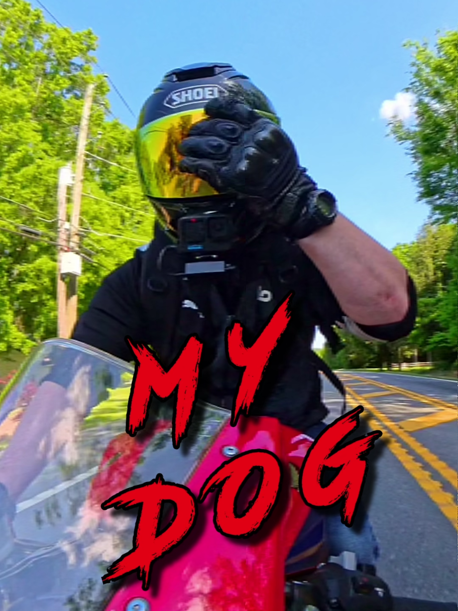 @Ride With Danger