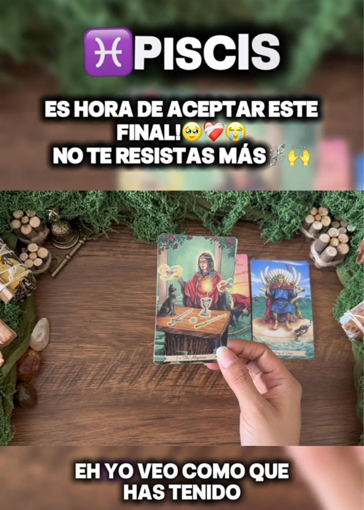@Andy Sun Tarot ☀️