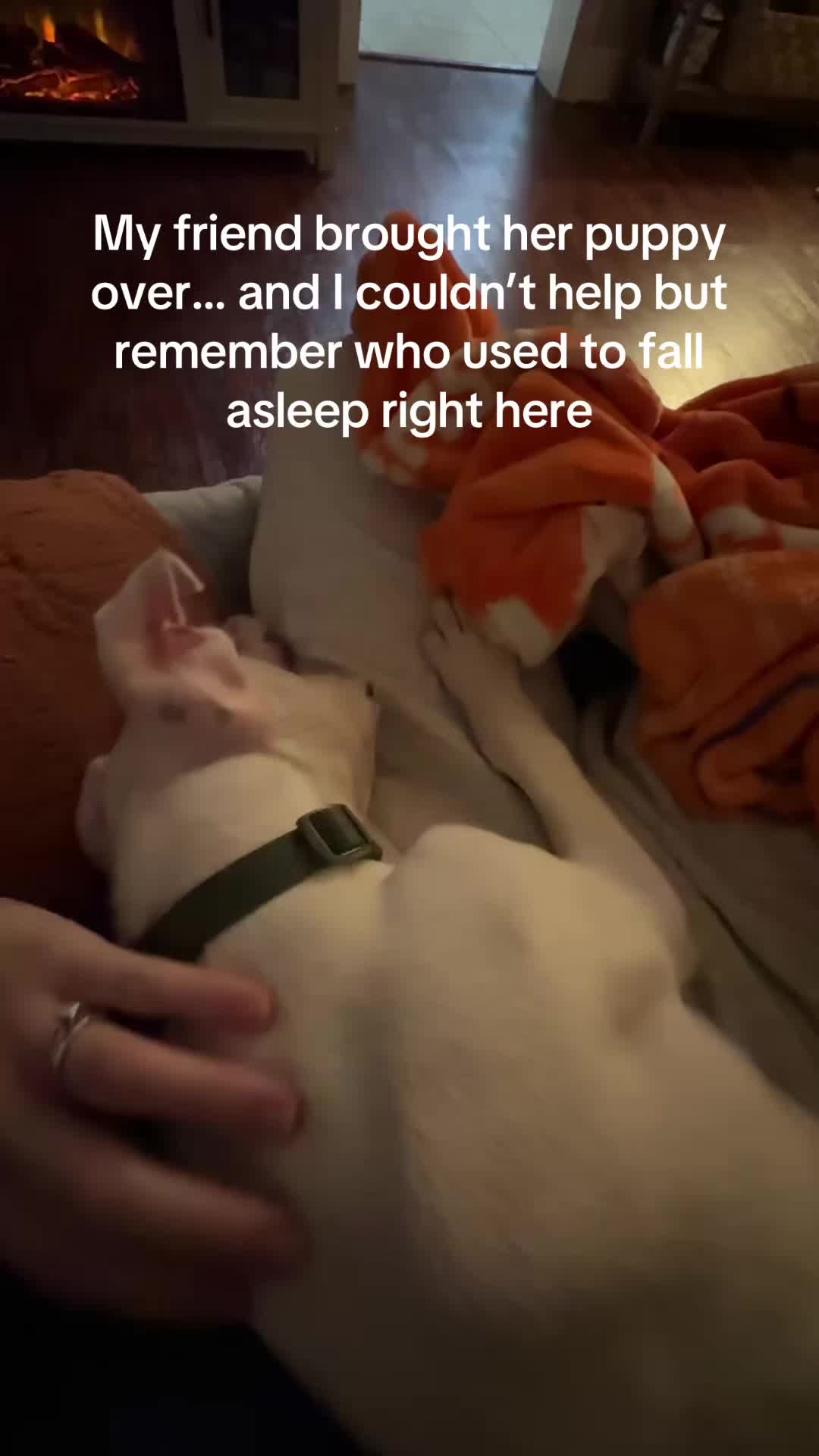@moose the angel🕊️