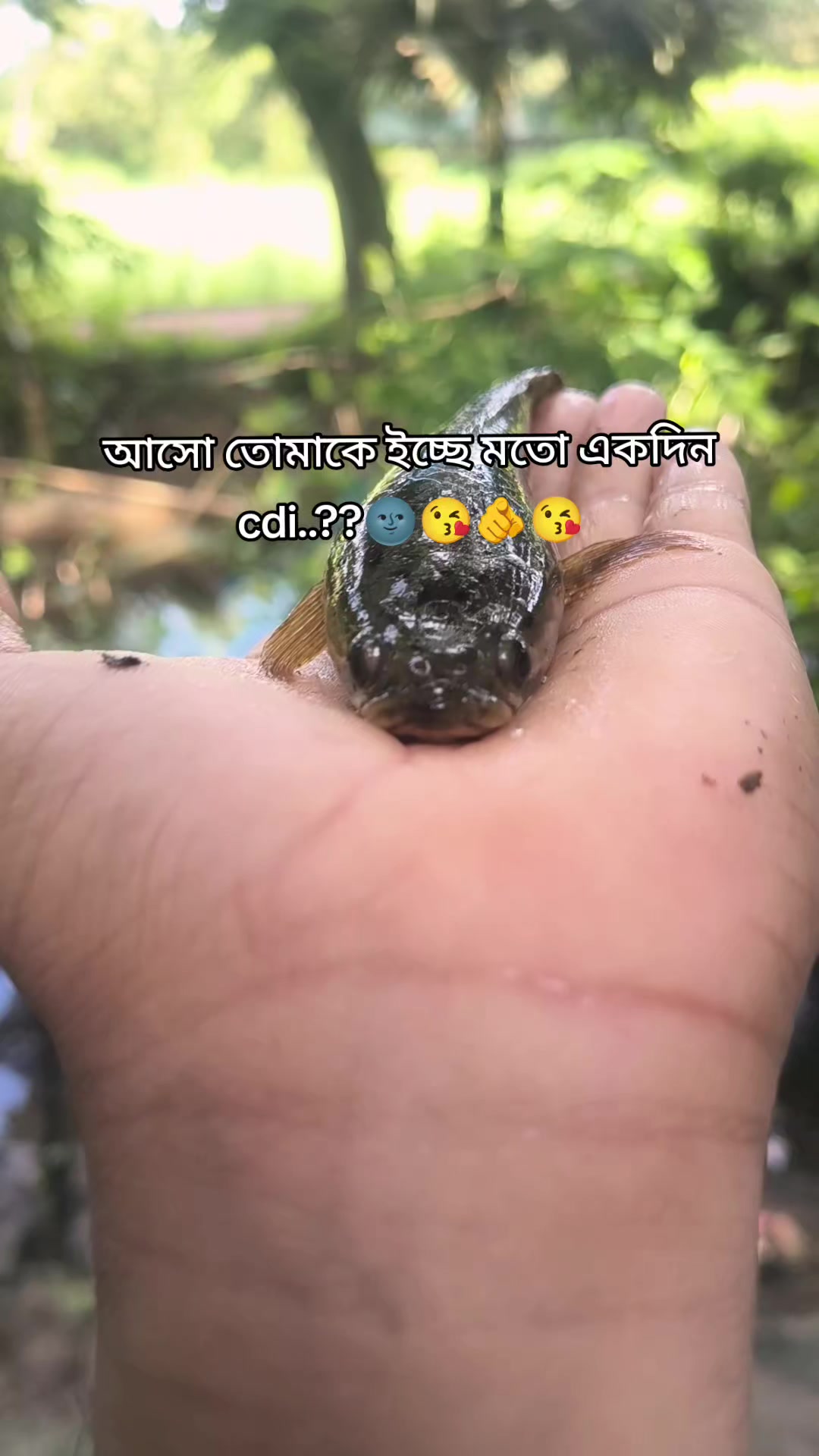 @(っ◔࿐🐸🫦দুষ্ট দাদু🫦🐸࿐(っ◔◡◔)っ