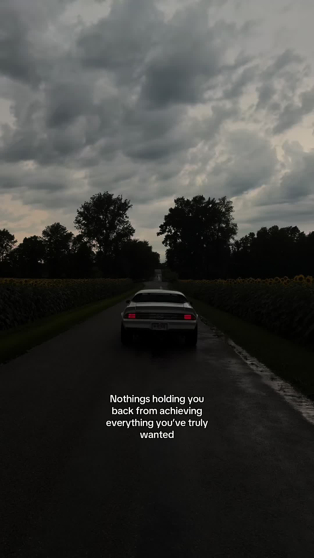 @79_Camaro