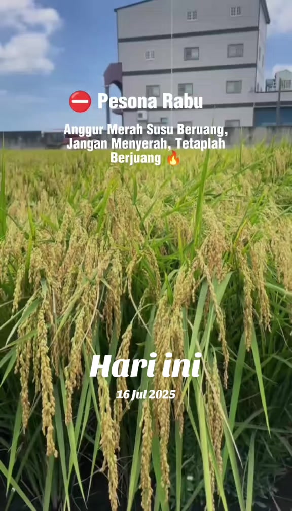 @PT. BHD INDONESIA