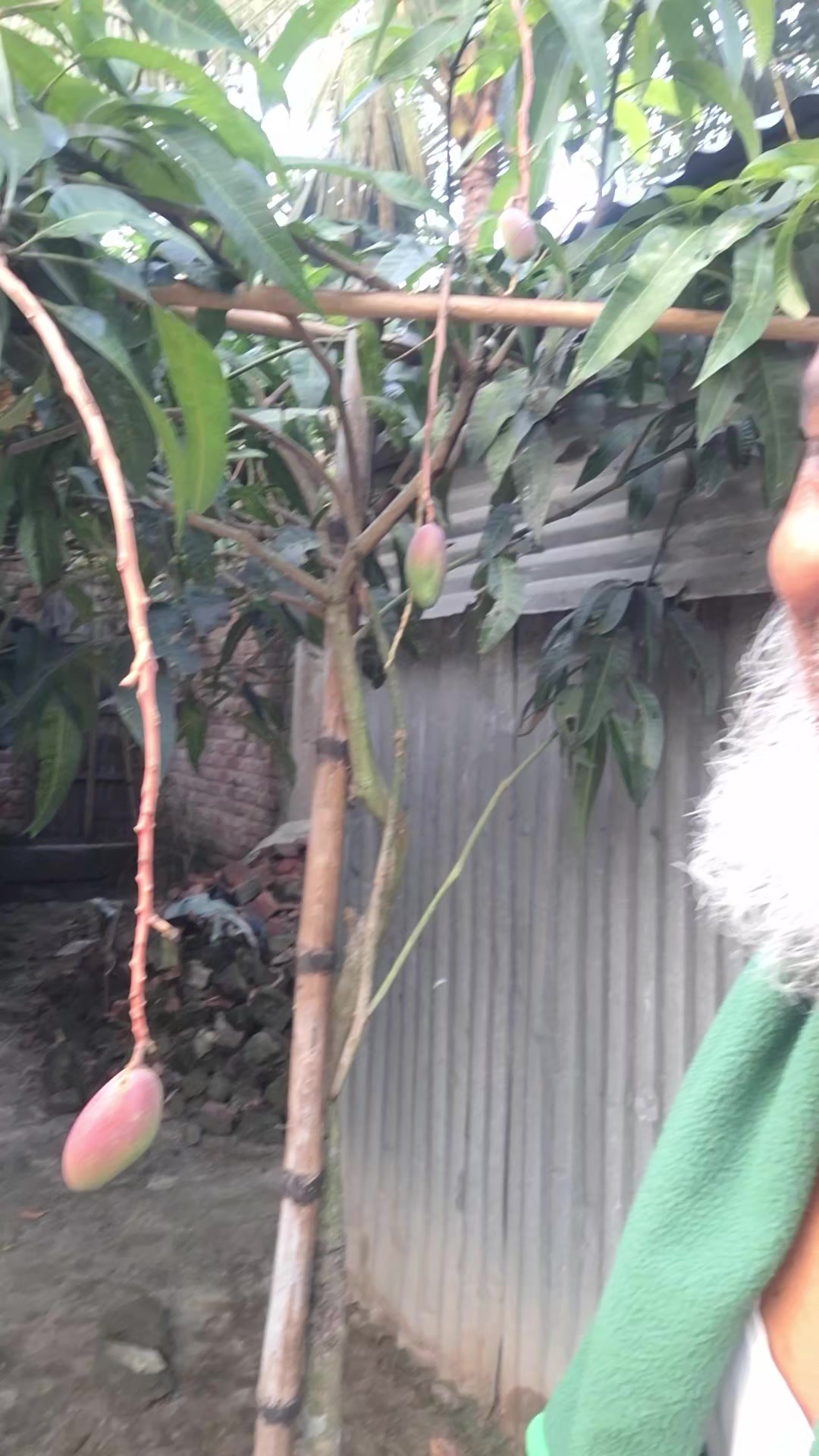 @Rajjak999