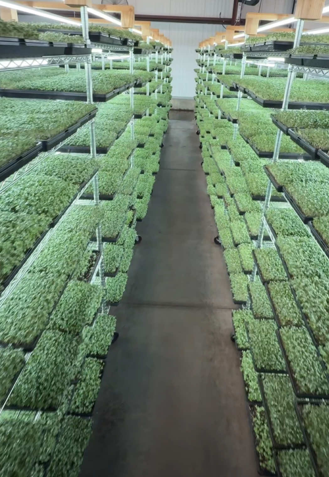 @Micos Micro Farm
