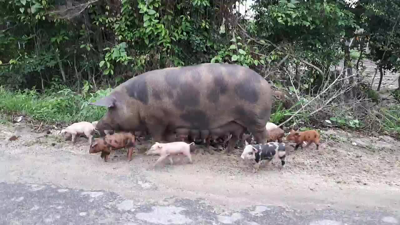 @De tudo um pouco