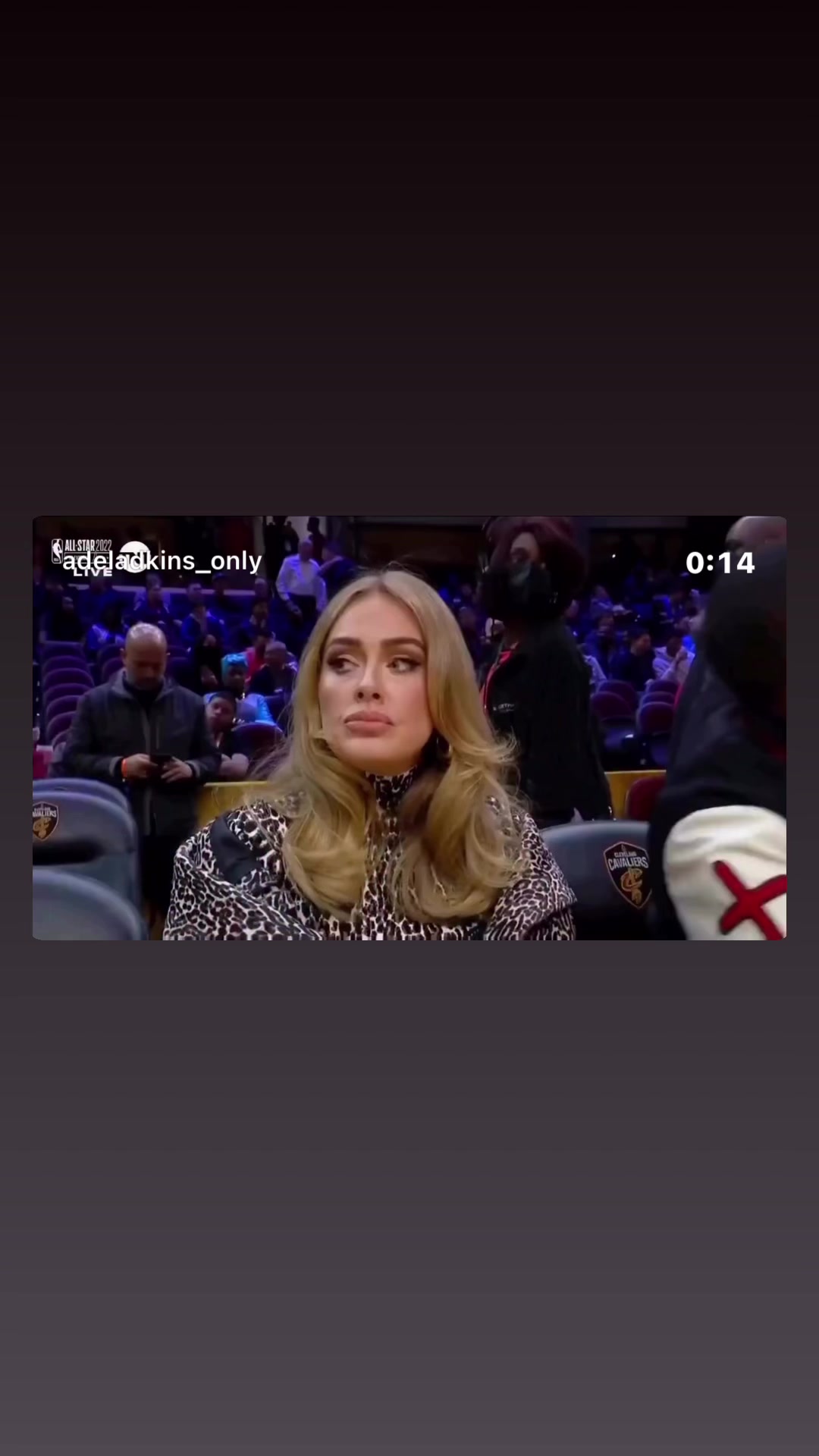 @Yule_fan_Adele🪐