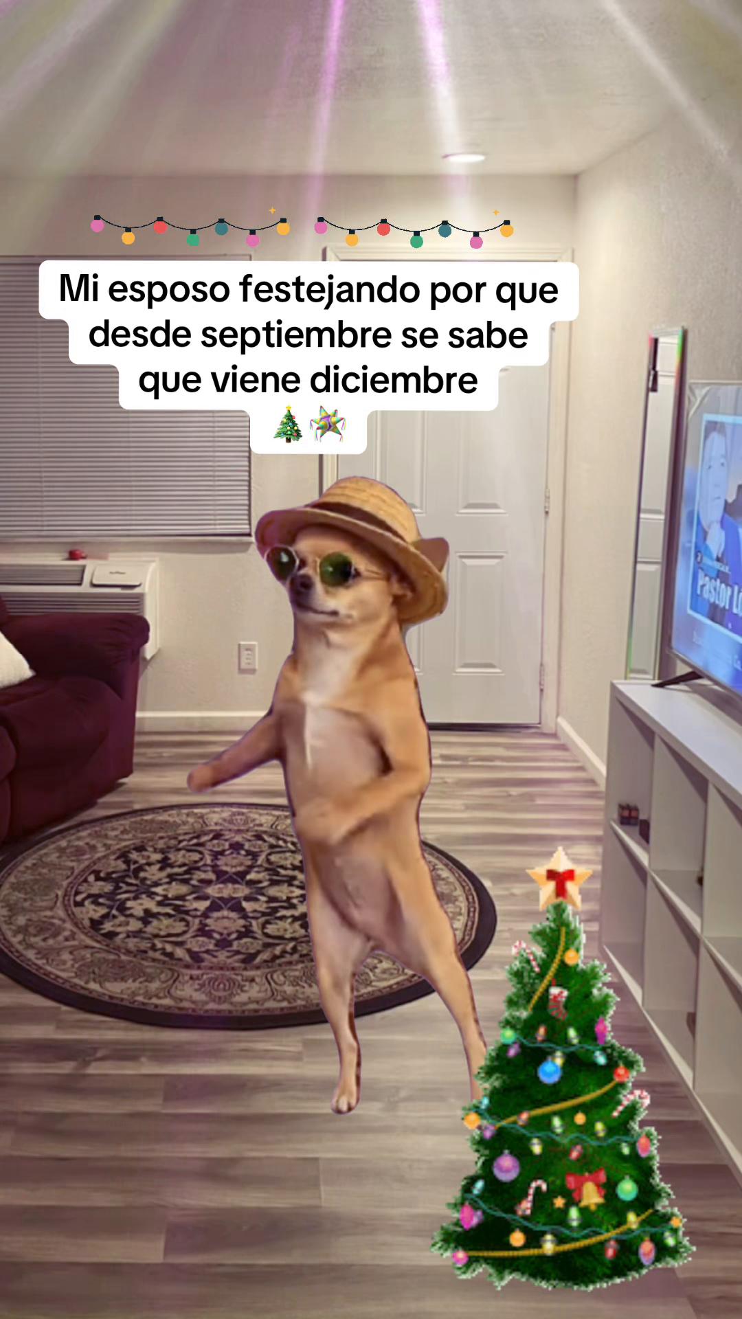 @𝓜𝓪𝓻𝓰𝓪𝓻𝓪.𝓞𝓯𝓲𝓬𝓲𝓪𝓵✨