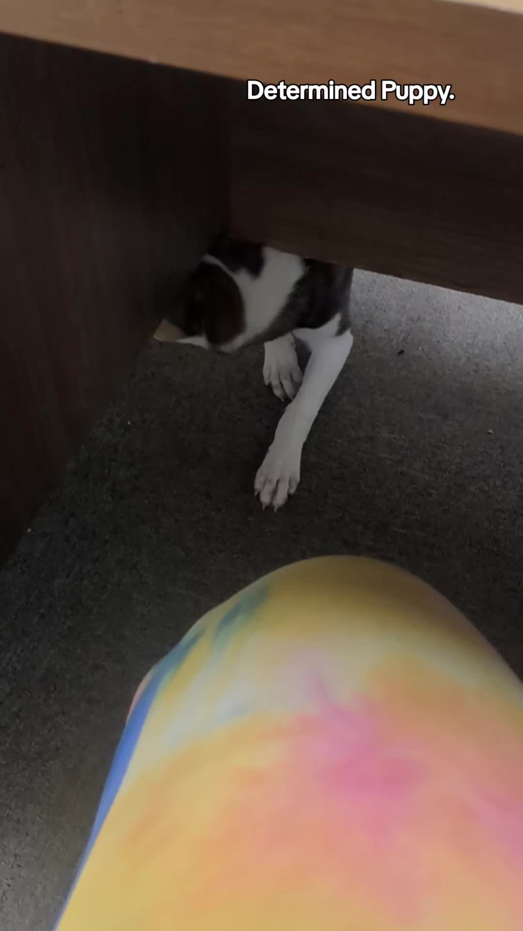 @BettyBoops89