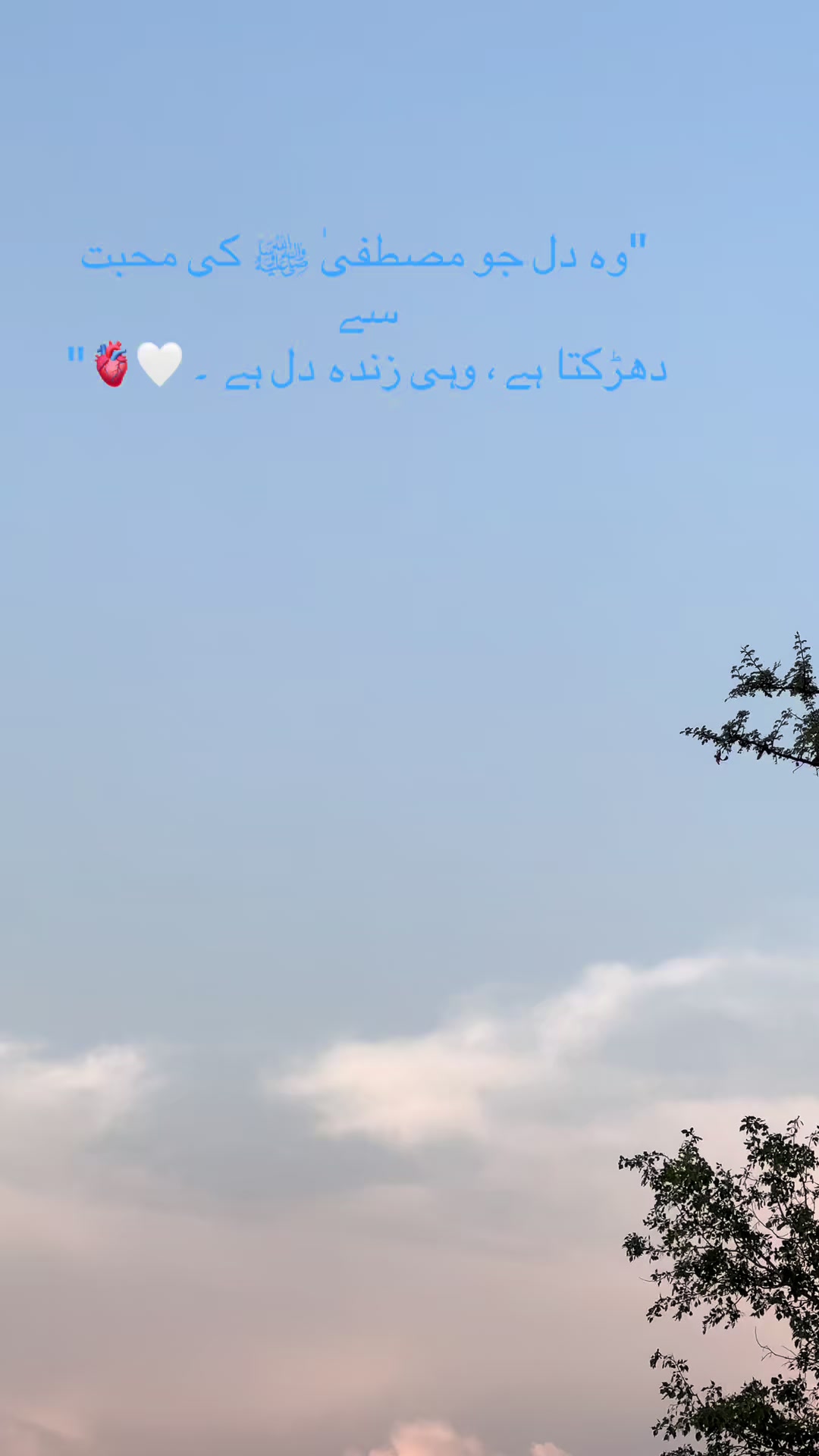 @Ozair Gujjar🥷👑