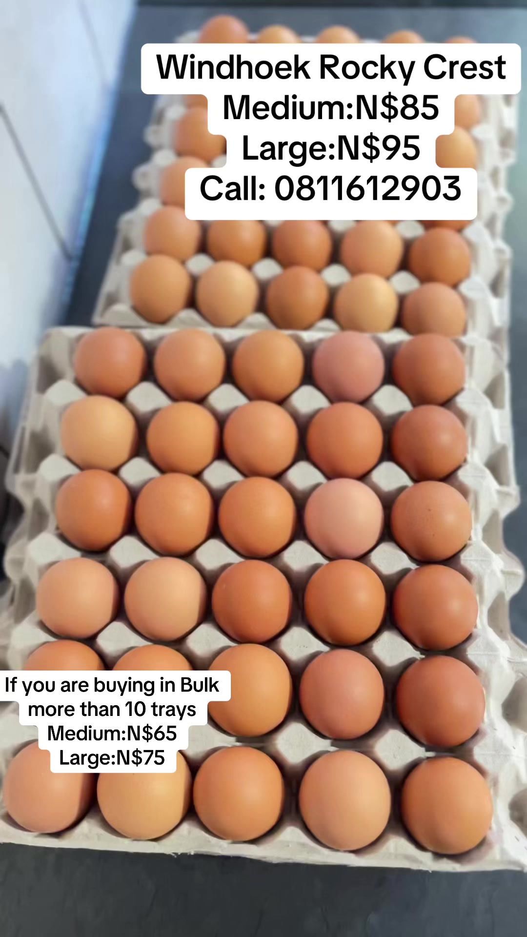 @penomayele0