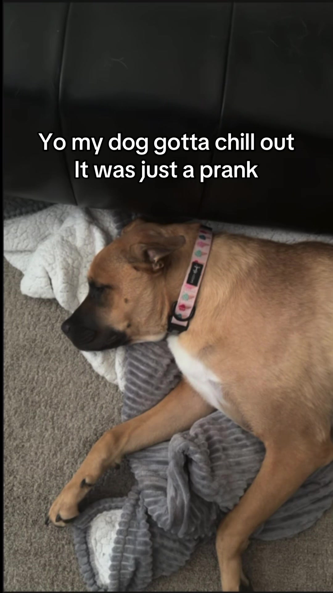 @Pen