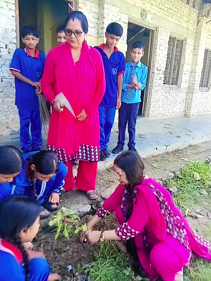@Jannu Bhatta