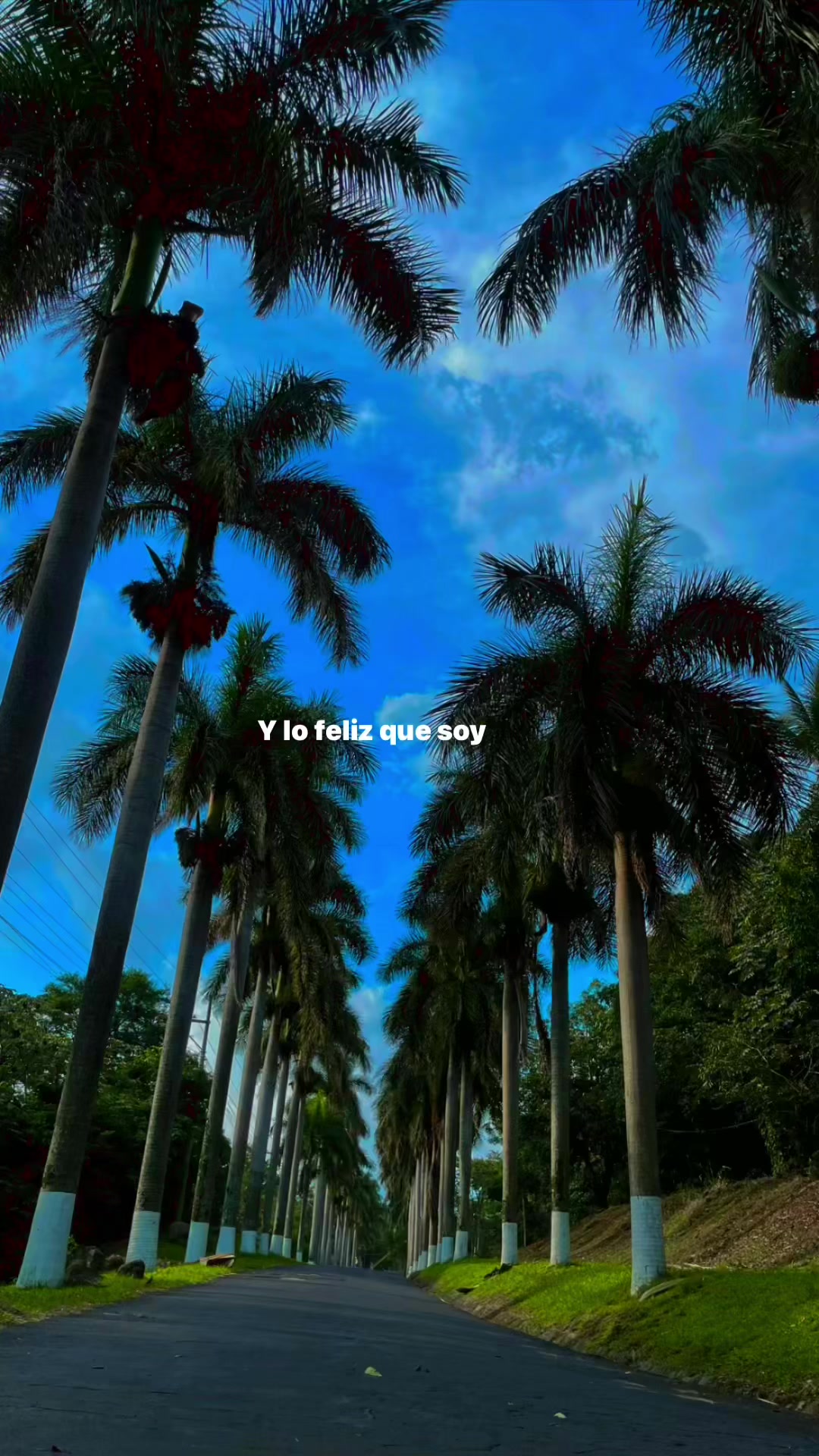 @Fernanda ✨️