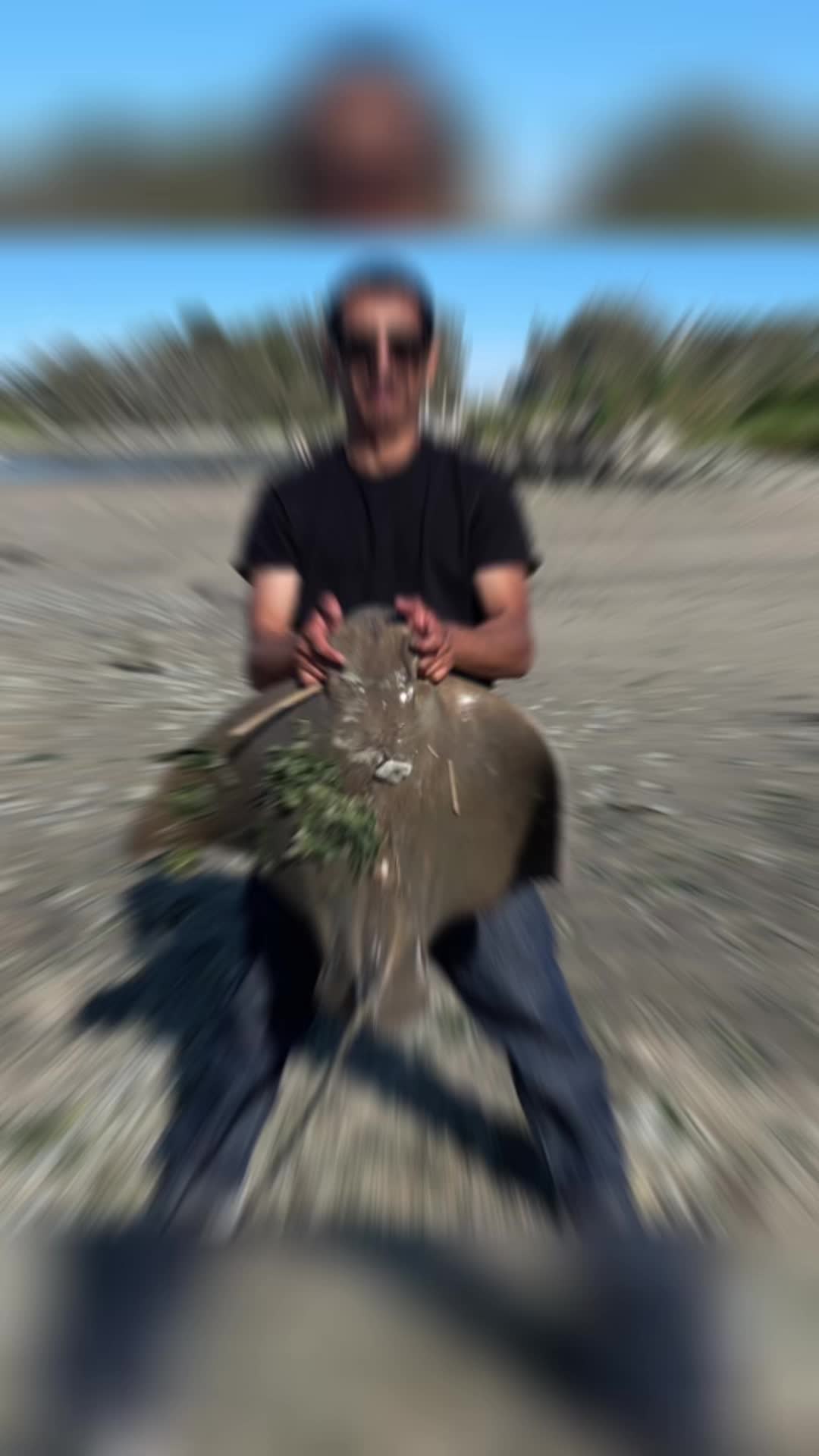 @Rico