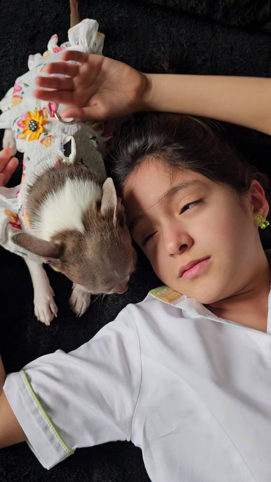 @RufinaChihuahua